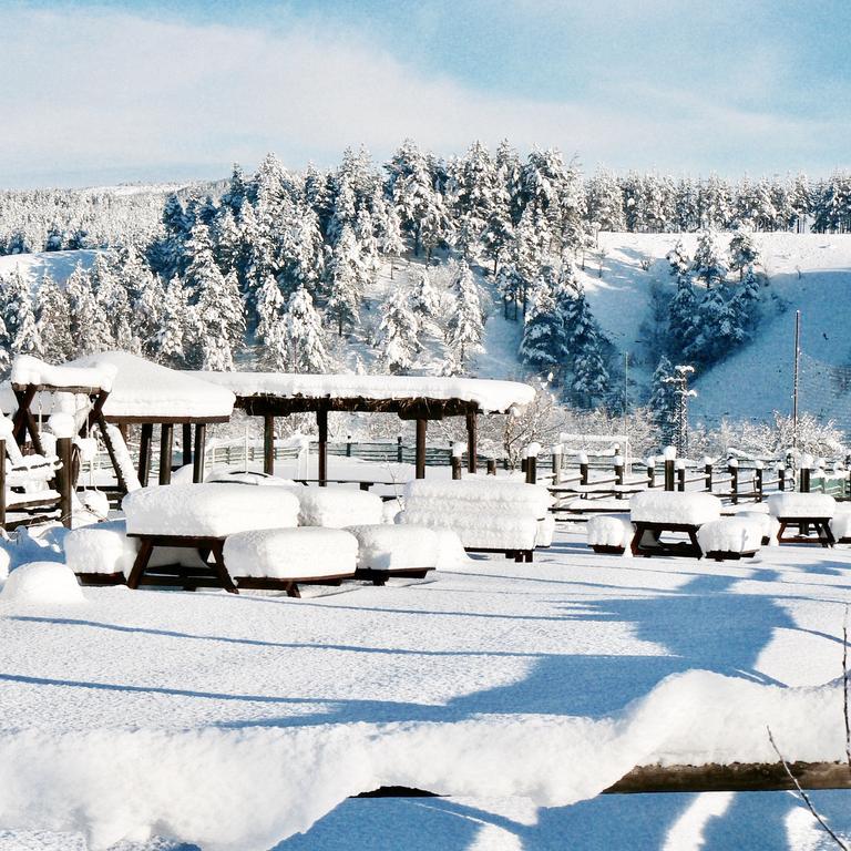 Hotel Orbel ドブリニシュテ エクステリア 写真